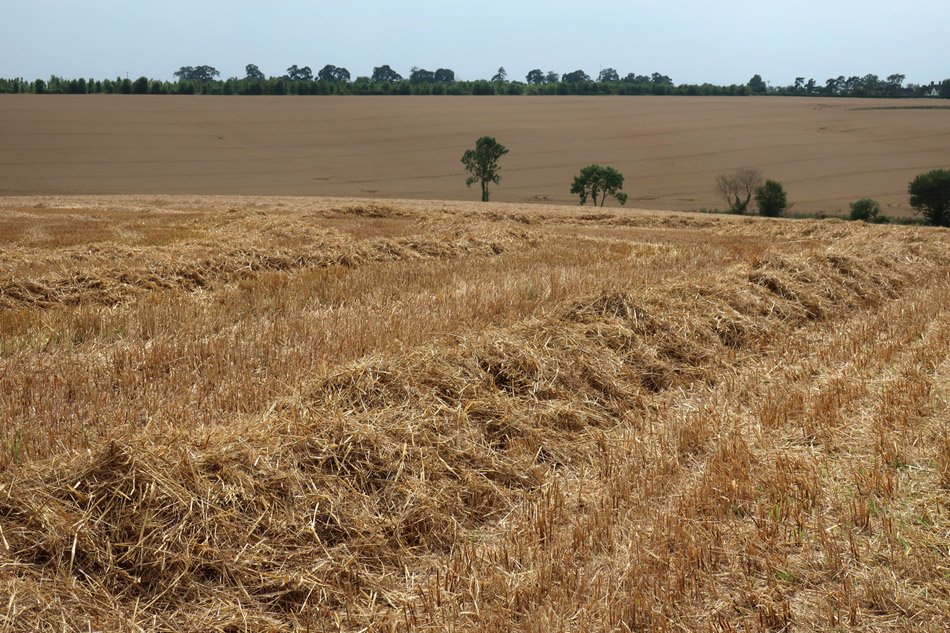 Footpath in Great Paxton